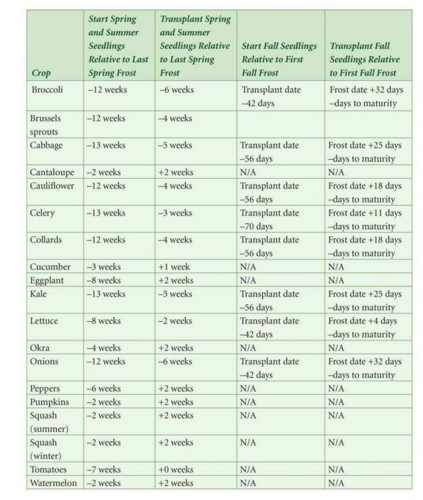 plant dates – MiniRoots: Grow Together